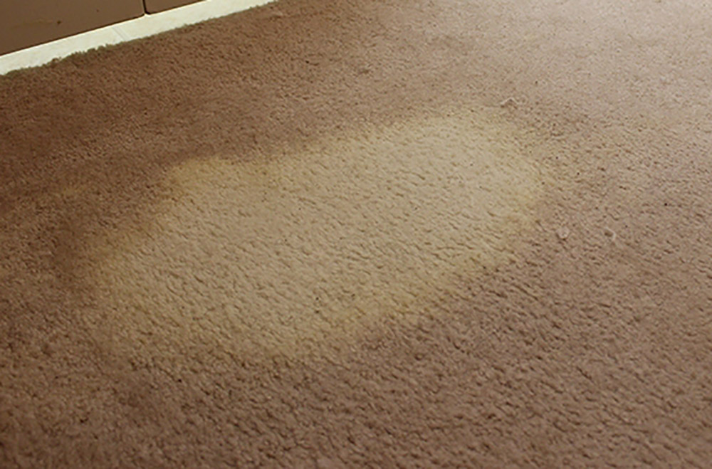 از بین بردن زردی فرش