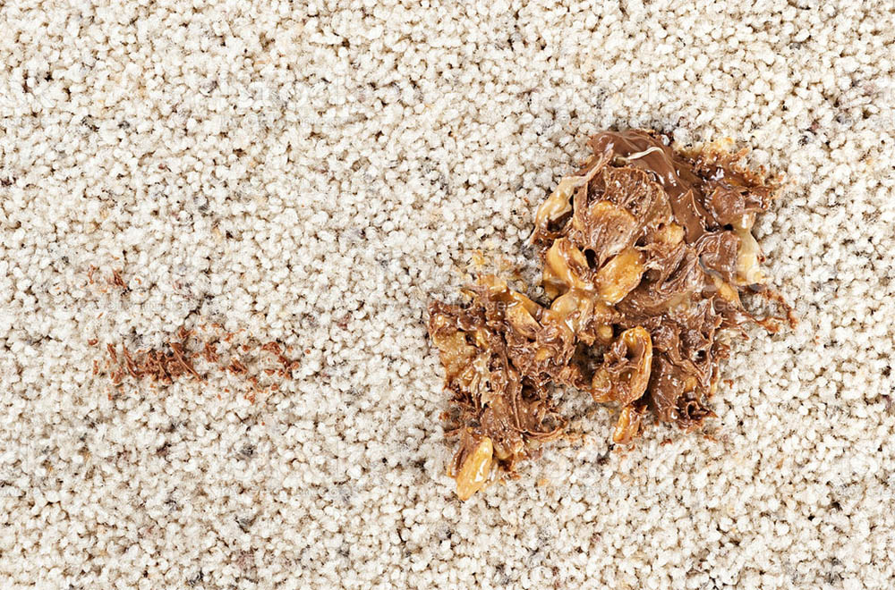 از بین بردن لکه شکلات روی فرش