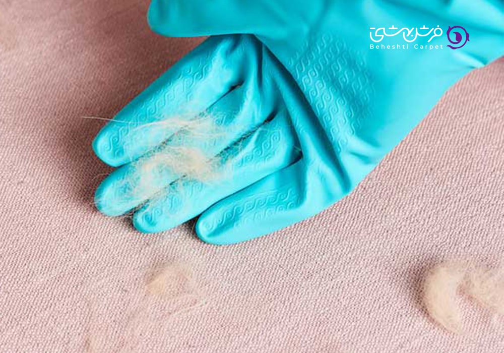 جمع کردن مو از روی فرش یکی از روشهای تمیزکردن فرش محسوب می شود.