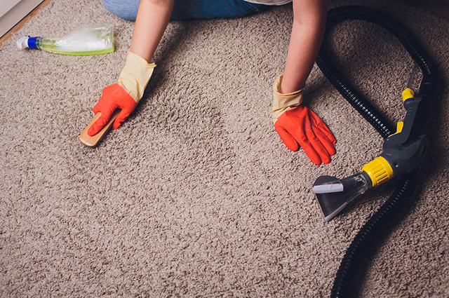 نحوه تمیز کردن سریع فرش و موکت در روزهای پایانی سال