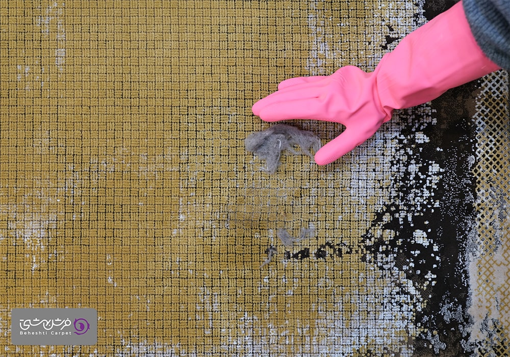 جمع کردن مو از روی فرش و موکت با دستکش پلاستیکی