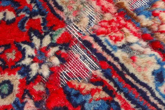 چگونه از بیدزدگی فرش جلوگیری کنیم؟