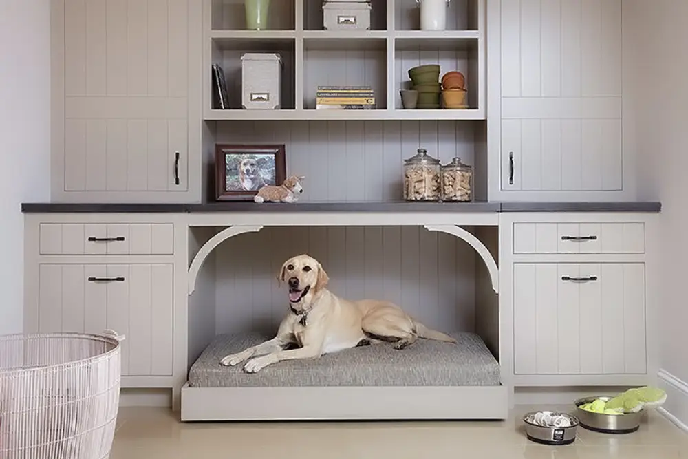 فضای مناسب ورودی برای نگهداری از حیوانات